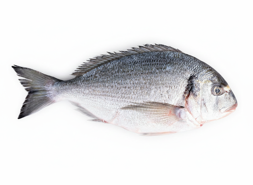 Sea Bream — Cleaned