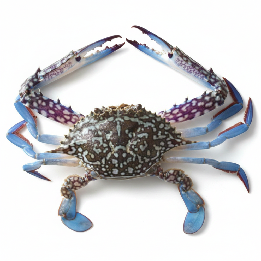 Crab / Njandu