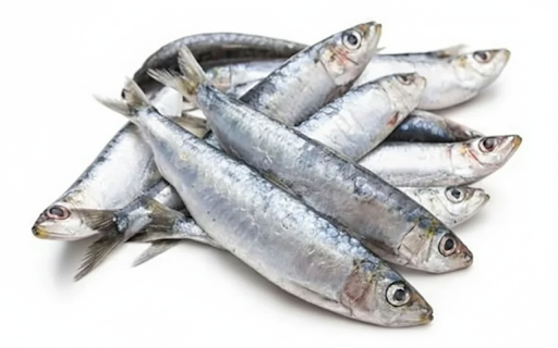 Sardines / Mathi — 3 kg Box