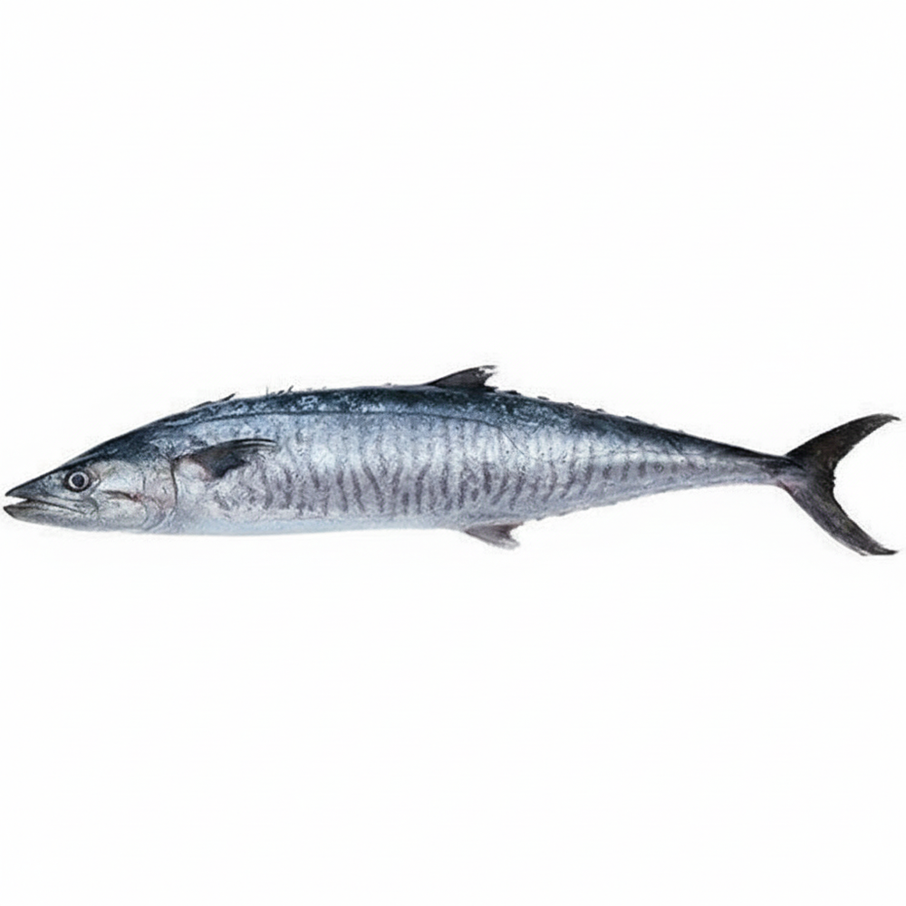 King Fish / Vanjaram