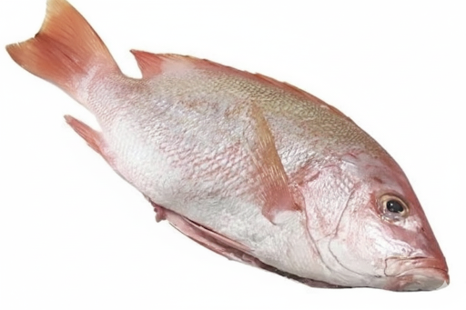 Red Snapper / Chemballi