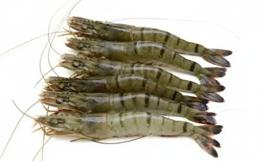 Prawns / Chemmeen