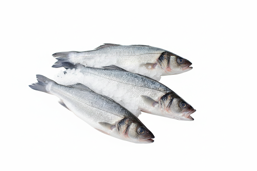 Sea Bass