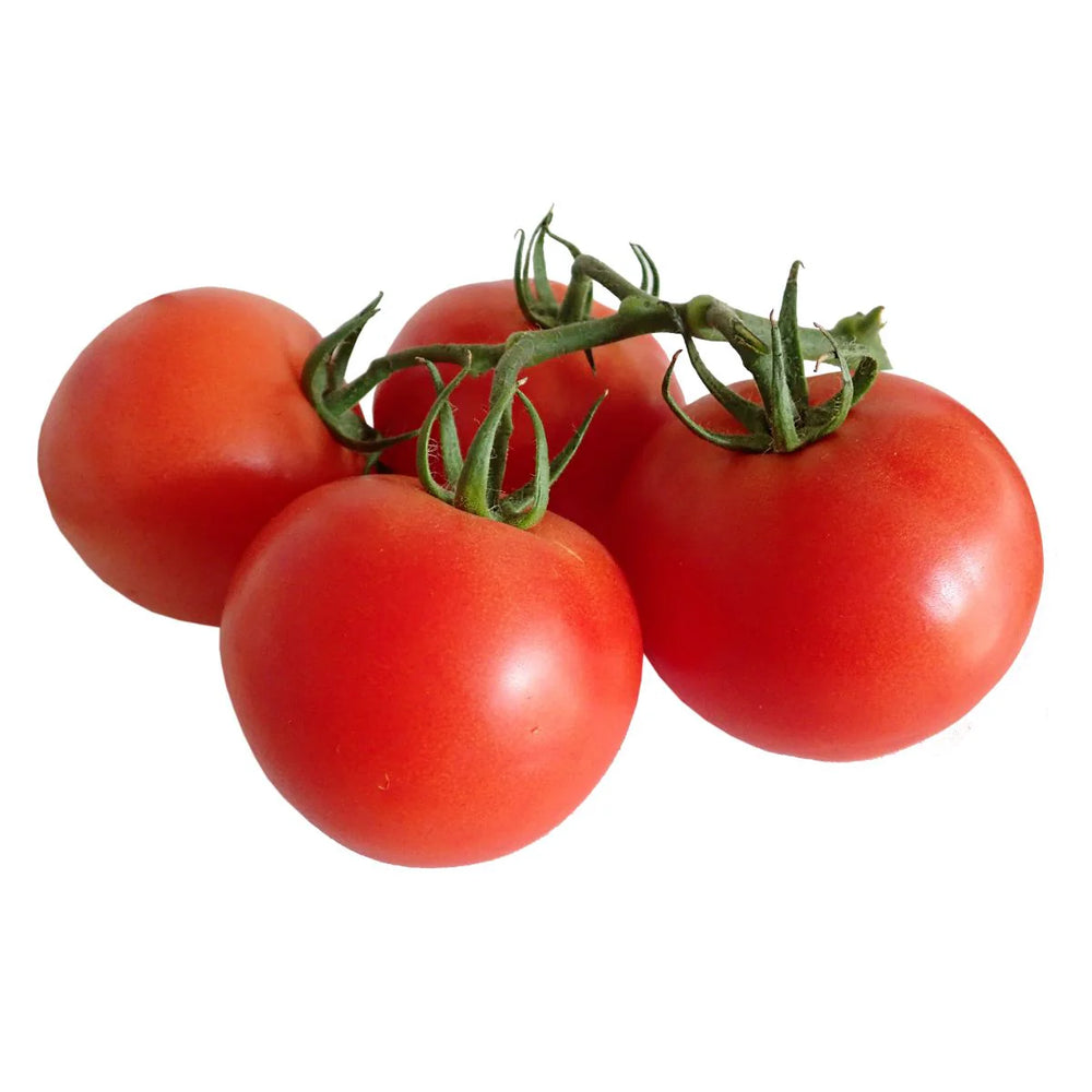 Tomato Loose